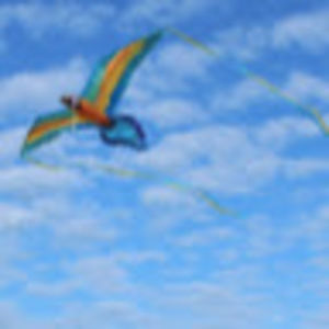 Meet your Posher, Laura m. puente